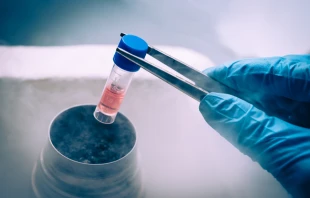 A Liquid Nitrogen bank containing suspension of stem cells. Via Shutterstock 