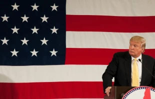 President Donal Trump campagning in New Hampshire.   Andrew Cline/Shutterstock