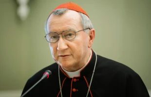 Secretary of State of the Holy See Cardinal Pietro Parolin during a meeting with President of Ukraine, June, 2016.   Shutterstock.