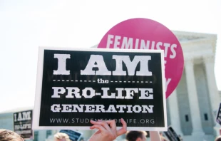 A pro-life demonstrator awaits the Supreme Court.   Rena Schild / Shutterstock