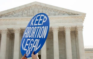 A Pro-choice activist holds a sign in front of the Supreme Court in Washington, DC on June 27, 2016.   Rena Schild/Shutterstock