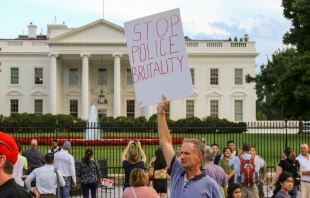 Protester outside the White House in 2016.   Joseph Gruber/Shutterstock