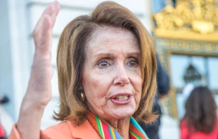 Rep. Nancy Pelosi addresses constituents in San Francisco, 2017.   Kim Wilson / Shutterstock