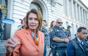 Rep. Nancy Pelosi addresses constituents in San Francisco, 2017.   Kim Wilson / Shutterstock