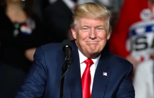 President Donald Trump speaks at a rally in Hershey, Pa.   Evan El-Amin/Shutterstock