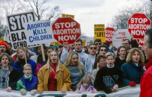 Participants in the annual March for Life in Washington, D.C.   mark reinstein/Shutterstock