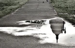 A reflection shot turns the US Capitol upside down.   Jonathan O'Reilly/Shutterstock