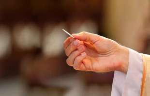 Priest distributing Communion.   wideonet/Shutterstock