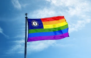 Rainbow Kentucky flag.   Creative photo/Shutterstock