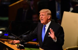 President Donald Trump addressing the United Nations General Assembly in 2017.   a katz/Shutterstock