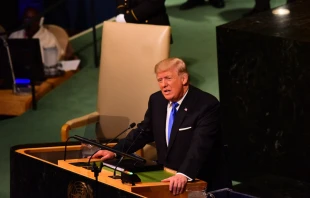 US President Donald Trump at General Assembly Hall, 2017.   a katz / Shutterstock.