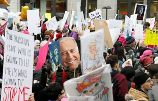 A cut-out of former VP Joe Biden during the 2019 Women's March on January 19, 2019 in Washington, DC.   Paul Morigi/Getty Images