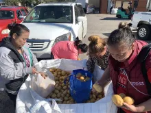 Local residents collect potatoes from Catholic Charities of the Texas Panhandle on May 17, 2024.