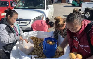 Local residents collect potatoes from Catholic Charities of the Texas Panhandle on May 17, 2024. Credit: Catholic Charities of the Texas Panhandle