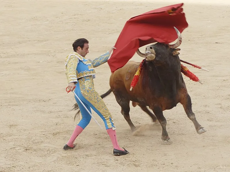 Bullfighting, which has existed since 711 A.D., is being denounced and labeled as animal cruelty by Father Terry Martin, a Catholic priest in England and an outspoken advocate for the welfare of animals. Last year Martin sent a joint letter with priests from Canada and France to Pope Francis calling on the pope to condemn the “torture and violent slaughter of innocent bulls.”?w=200&h=150