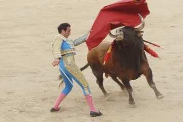 Bullfighting