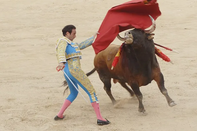 Bullfighting