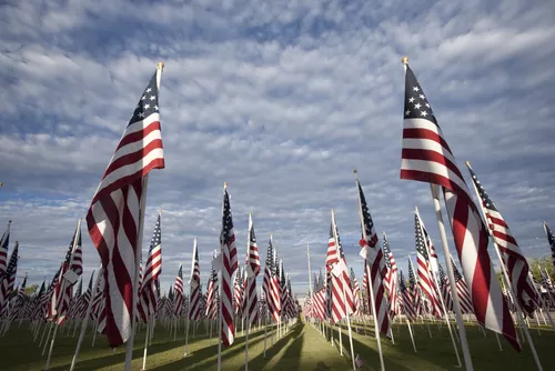 Flags for Memorial Day in the United States of America.?w=200&h=150