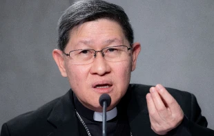 Cardinal Luis Antonio Tagle speaking at the Vatican on Oct. 21, 2021. Daniel Ibáñez/CNA.