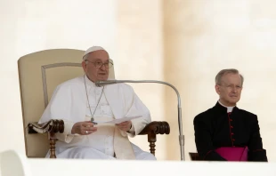 Pope Francis speaks at the general audience on June 22, 2022. Daniel Ibanez/CNA