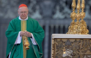 Cardinal Kevin Farrell celebrates Mass for the World Meeting of Families 2022 on June 25, 2022. Credit: Daniel Ibañez/CNA