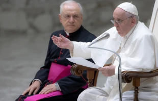 Pope Francis speaks at his general audience in Paul VI Hall on Aug. 10, 2022. Daniel Ibanez/CNA