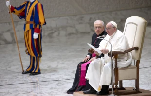 Pope Francis speaking at the general audience, Dec. 7, 2022 Daniel Ibáñez / CNA