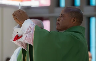 Cardinal Peter Ebere Okpaleke offers Mass in Rome at his titular church, the Holy Martyrs of Uganda Catholic Parish, on Feb. 5, 2023. Credit: Daniel Ibanez/CNA