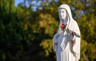 This statue of the Blessed Virgin Mary is on Apparition Hill, overlooking the village of Medjugorje, a town in Bosnia-Herzegovina. Credit: Adam Jan Figel/Shutterstock