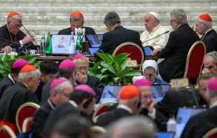 Pope Francis addresses participants of the first meeting of the full assembly of the Synod on Synodality on Oct. 2, 2024. Credit: Daniel Ibañez/CNA