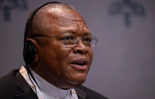 Cardinal Fridolin Ambongo Besungu, OFM Cap, president of the Symposium of Episcopal Conferences of Africa and Madagascar (SECAM), speaks at a press briefing for the Synod on Synodality at the Vatican on Oct. 24, 2024. Credit: Daniel Ibáñez/CNA