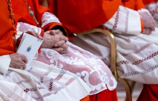 Cardinals follow the ceremony during the ordinary public consistory for the creation of new cardinals at St. Peter’s Basilica, Vatican City, Dec. 7, 2024. Credit: Daniel Ibáñez/CNA