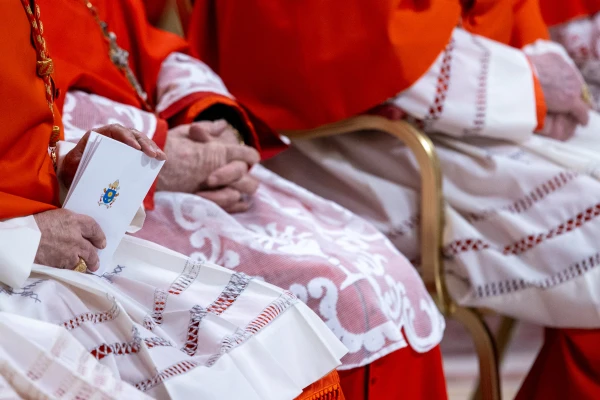 Cardinals follow the ceremony during the ordinary public consistory for the creation of new cardinals at St. Peter's Basilica, Vatican City, Dec. 7, 2024. Credit: Daniel Ibáñez/CNA