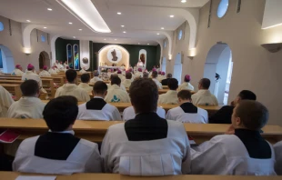 Mass in the chapel of a seminary in Poznań, western Poland, Sept. 15, 2018. Mazur/catholicnews.org.uk.