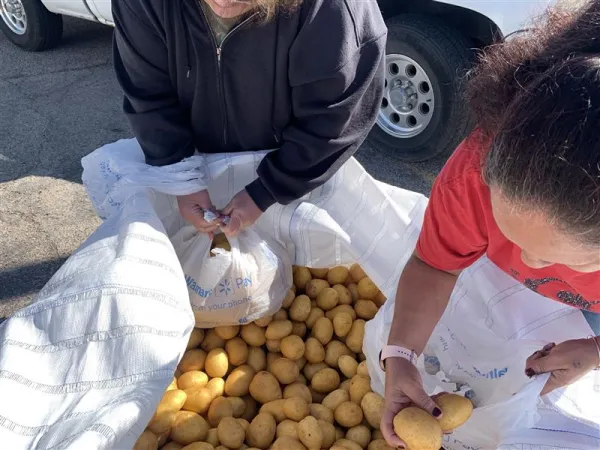 Local residents collect potatoes from Catholic Charities of the Texas Panhandle on May 17, 2024. Credit: Catholic Charities of the Texas Panhandle