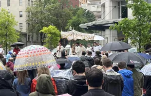 More than 1,000 Catholics attend the Eucharistic procession in Washington, D.C. on May 18, 2024, Credit: Tyler Arnold/CNA