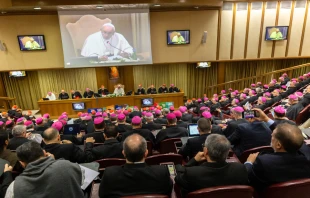 The opening of the Amazon synod at the Vatican's Synod Hall,  Oct. 7, 2019. Daniel Ibáñez/CNA.