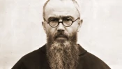 St. Maximilian Kolbe.