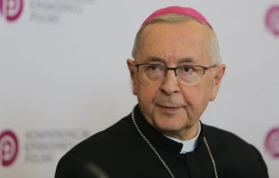 Archbishop Stanislaw Gądecki, president of the Polish bishops’ conference. episkopat.pl.