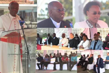 Cardinal Peter Turkson