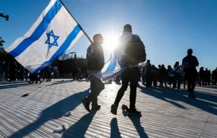 Demonstrators in support of Israel gather to denounce antisemitism and call for the release of Israeli hostages on the National Mall in Washington, D.C., on Nov. 14, 2023. Credit: ROBERTO SCHMIDT/AFP via Getty Images