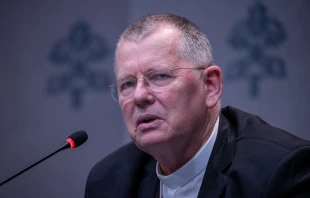 Brazilian Archbishop Jaime Spengler, OFM, speaks at a Synod on Synodality briefing on Oct. 8, 2024, at the Vatican. Credit: Daniel Ibañez/CNA