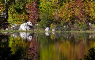 Autumn in North Carolina ucumari photography via Flickr (CC BY-NC-ND 2.0)