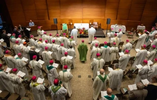 The 2023 Plenary Assembly of the Canadian Conference of Catholic Bishops (CCCB) being held Sept. 25-28, 2023, outside of Toronto, Ontario. Credit: CCCB/CECC