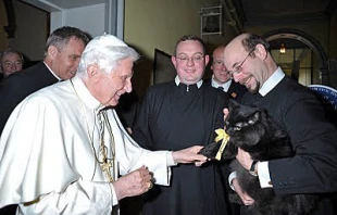 Benedict XVI greeted a fluffy black cat named Pushkin during his visit to the Birmingham Oratory established by St. John Henry Newman. Courtesy of the Birmingham Oratory