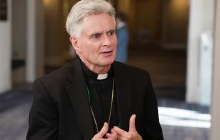 Bishop Thomas Daly of Spokane, Washington, chairman of the U.S. Conference of Catholic Bishops’ Committee on Catholic Education, speaks to CNA during the USCCB’s fall plenary assembly on Nov. 13, 2024. Credit: Jack Haskins/EWTN News