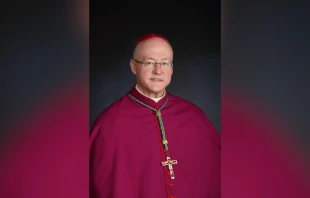 Pope Francis on Nov. 4, 2024, named Chicago Auxiliary Bishop Jeffrey Grob as archbishop of Milwaukee. Credit: Archdiocese of Milwaukee