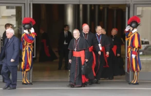 Cardinals outside the Paul VI Hall. Credit: Daniel Ibanez/CNA