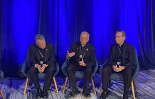 USCCB president Archbishop Timothy Broglio (left); Bishop Mark Seitz, head of the USCCB migration committee (center); and Bishop Michael Burbidge, chairman of the USCCB’s pro-life committee, speak to media at the USCCB fall plenary assembly on Nov. 12, 2024.   Credit: Jonathan Liedl