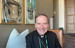 Bishop Michael Burbidge of the Diocese of Arlington, Virginia, is chairman of the U.S. Conference of Catholic Bishops’ Committee on Pro-Life Activities. Credit: Zelda Caldwell/CNA